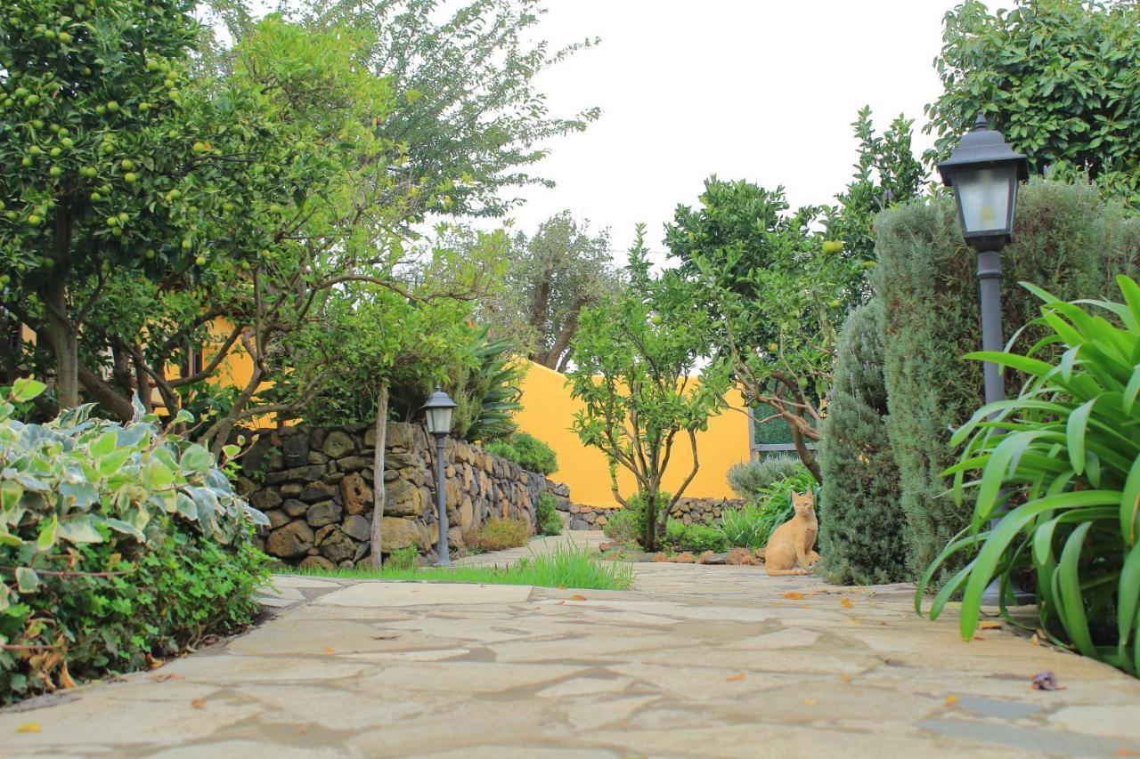 Finca La Majadera El Rosario  Exteriör bild